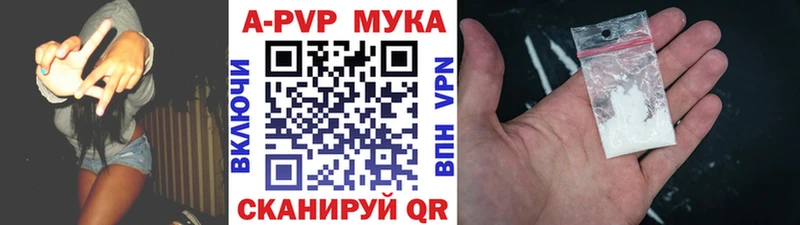 Альфа ПВП СК  Киров 