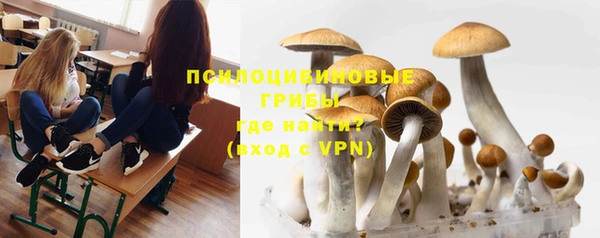 круглые Алексеевка
