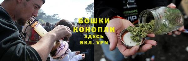 дурь Ельня