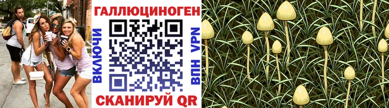 Галлюциногенные грибы GOLDEN TEACHER  Киров 